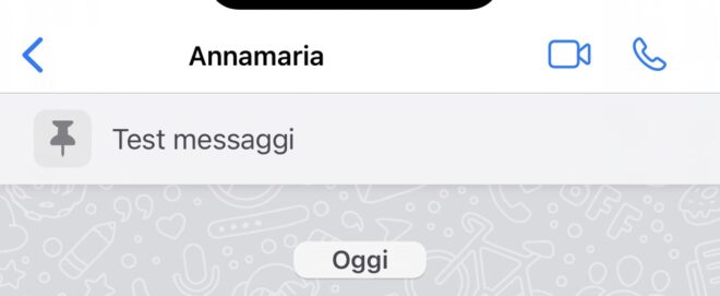 Che Significa Fissare Un Messaggio Su Whatsapp Come fissare un messaggio su WhatsApp