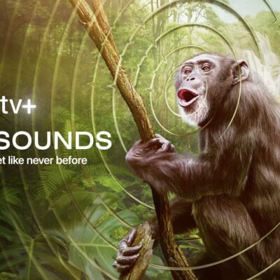 Earthsounds, un viaggio nella natura con Apple TV+