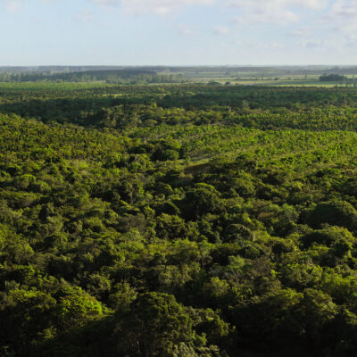 Apple amplia il Restore Fund con TSMC e Murata