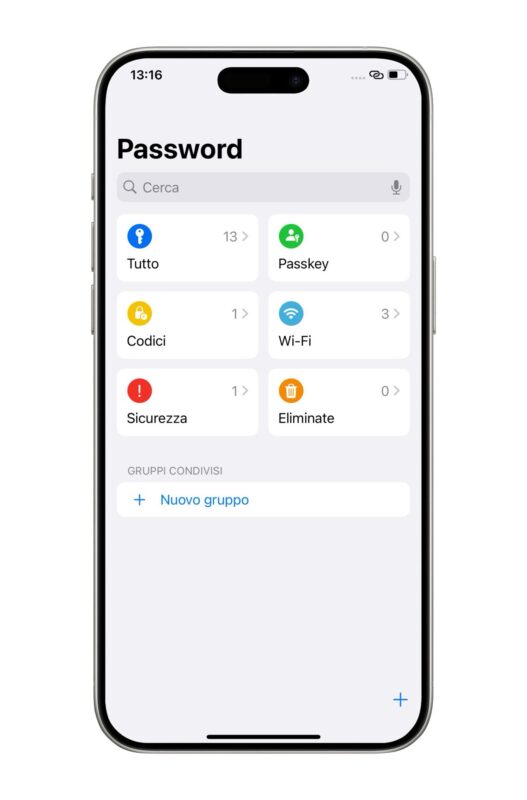 Apple Password App iOS 18