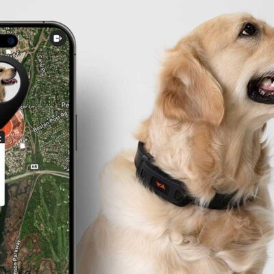 Con i localizzatori GPS PAJ potete proteggere ciò che amate: dalle auto agli animali domestici