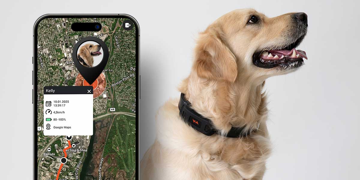 Localizzatore GPS animali PET Finder PAJ