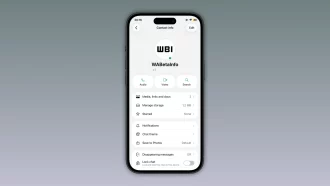 WhatsApp su iPhone prepara il pallino verde per vedere chi è online
